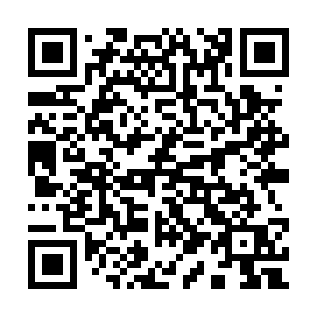 QR code for plate 919-PSQ