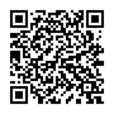 QR code for 919SJS