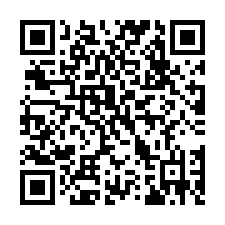QR code for 919TDL