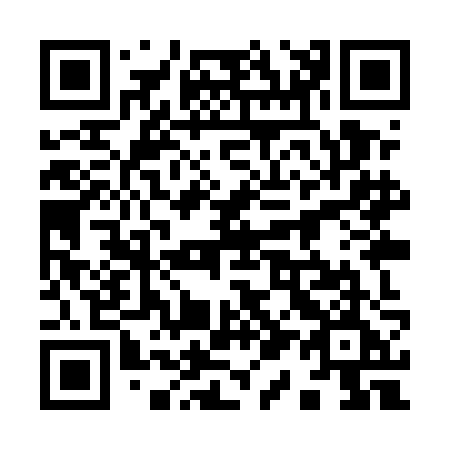 QR code for plate 919-UJE