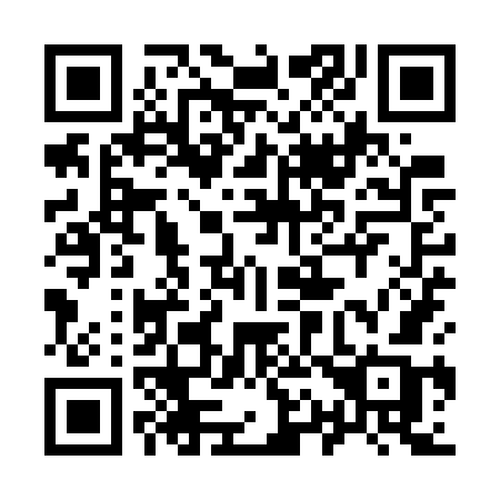 QR code for plate 919-WWB