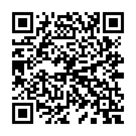 QR code for 919ZMJ