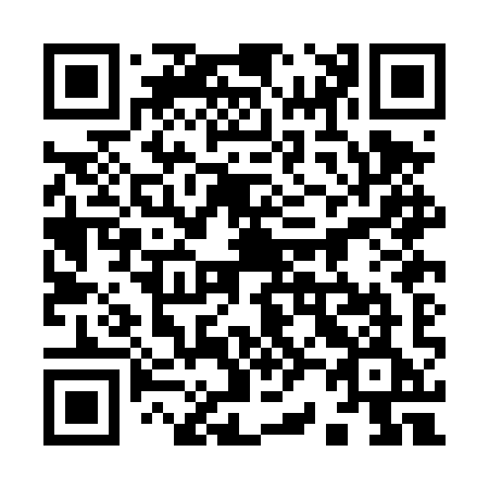 QR code for 920-DYE