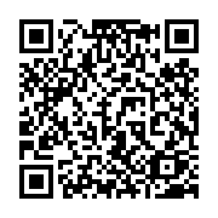 QR code for 938-DSP