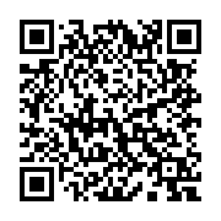 QR code for 938-MQP