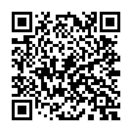 QR code for 938-TTD