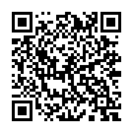 QR code for plate 938-PCK