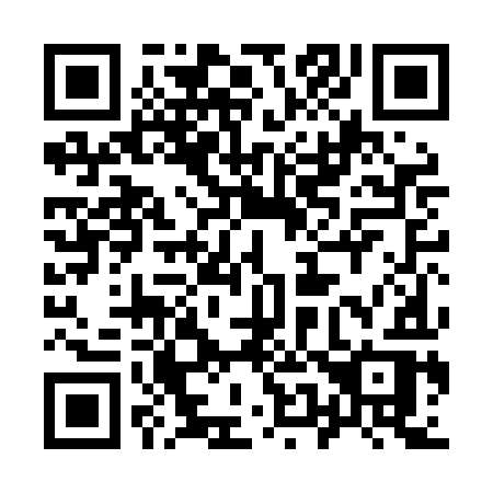 QR code for plate 950-LIR