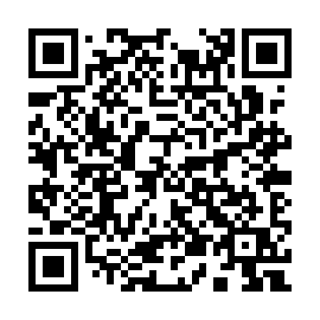 QR code for plate 950-QIQ