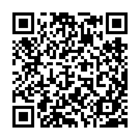 QR code for plate 950-VIL