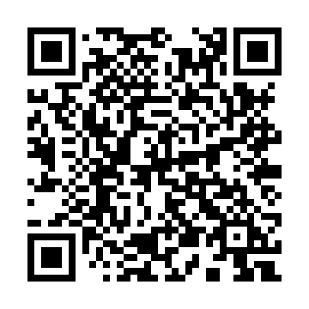 QR code for plate 950-XRI