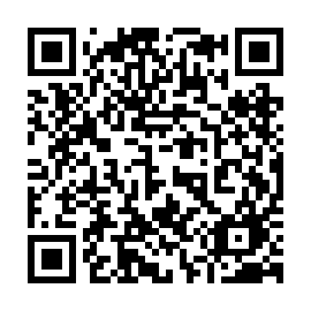 QR code for 951-BAG