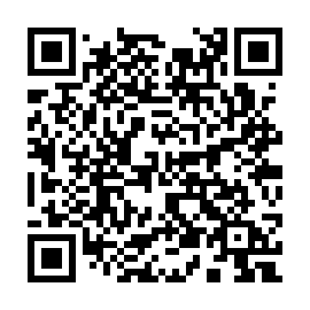 QR code for 953-QSA
