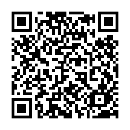 QR code for plate 953-DAN