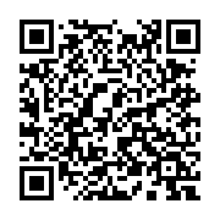QR code for 953DNL