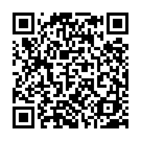 QR code for 954-EFI