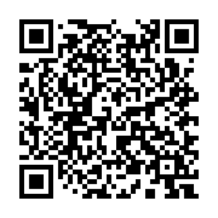 QR code for 955-AXX
