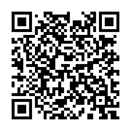 QR code for 955-LIN