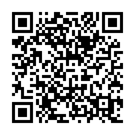 QR code for 955-MSI