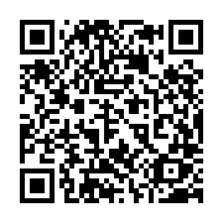 QR code for 955-QLX