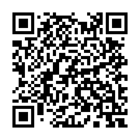 QR code for 955DYN