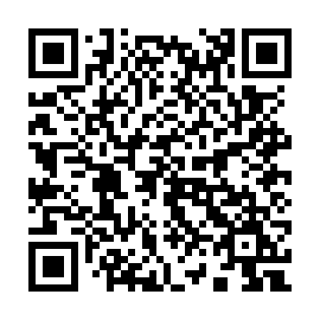 QR code for plate 960-OVM
