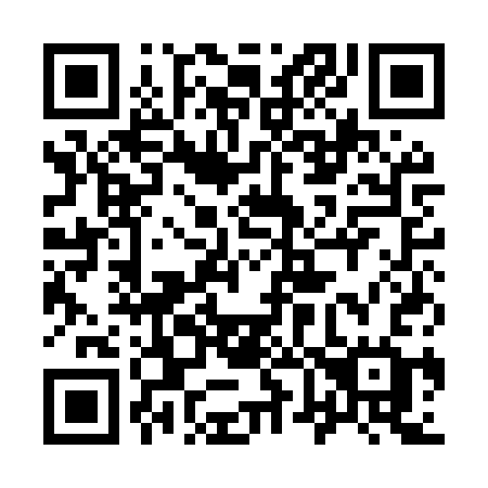 QR code for plate 961-MSG