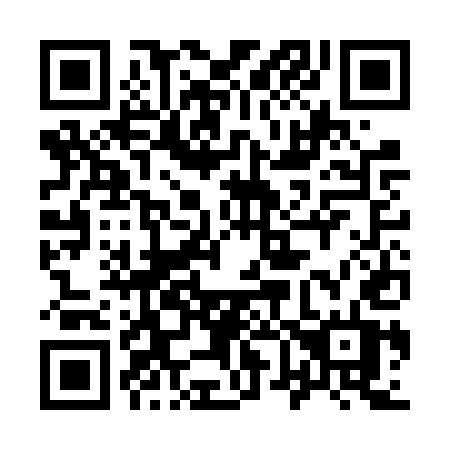 QR code for plate 963-FUT