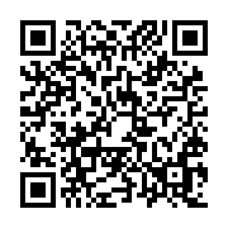 QR code for plate 965-NIN