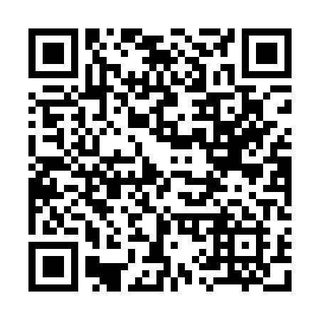 QR code for plate 990-API