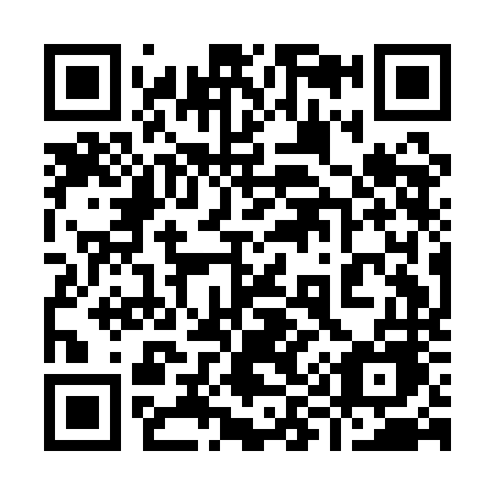 QR code for 991-ANE