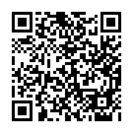 QR code for 991-EFF