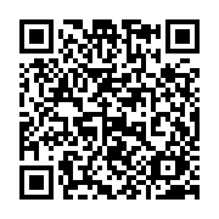 QR code for 991-IZM