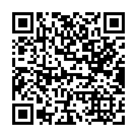 QR code for 991-PNI