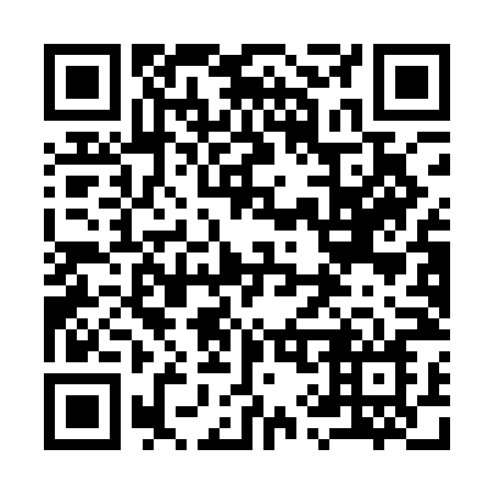QR code for plate 991-ANN