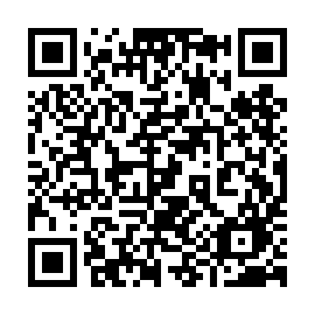 QR code for 991DIG