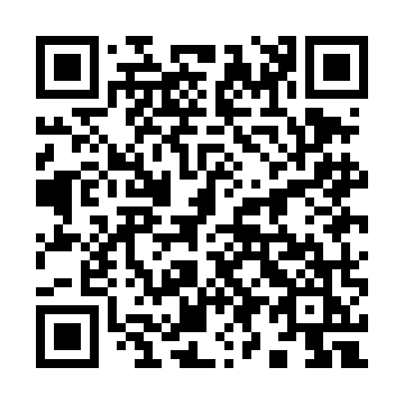 QR code for plate 991-DMK