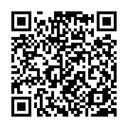 QR code for plate 991-ERA