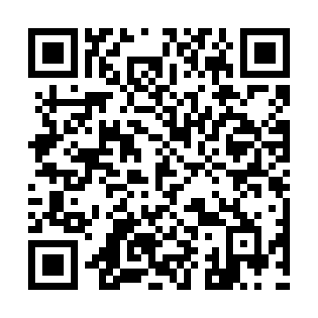 QR code for plate 991-FFB