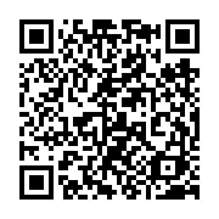 QR code for 991FVI
