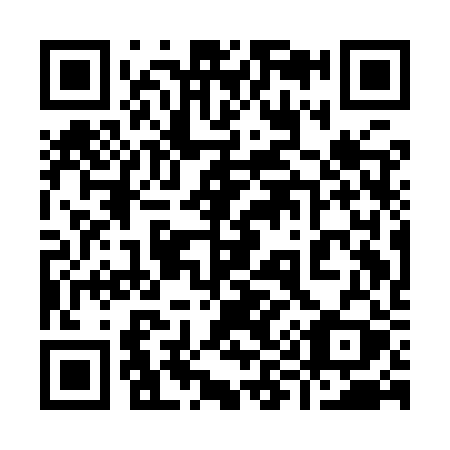QR code for plate 991-IRY