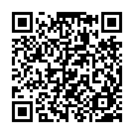 QR code for plate 991-NIB
