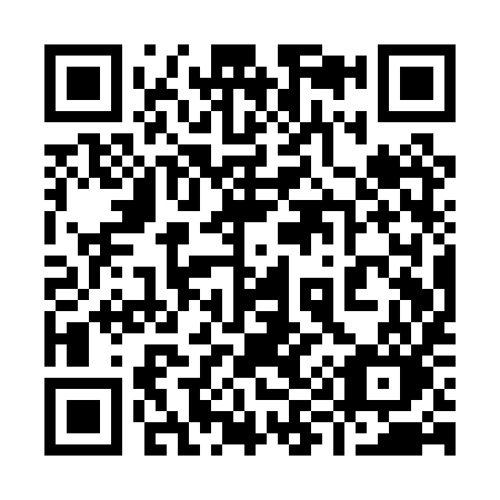 QR code for plate 991-PYO