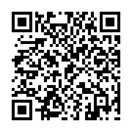 QR code for plate 991-QTB