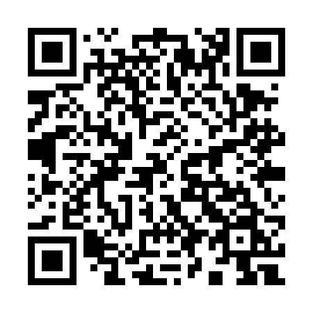 QR code for plate 991-TBN