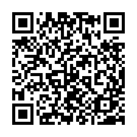 QR code for 991ZMS