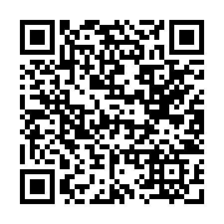 QR code for plate 993-BZG