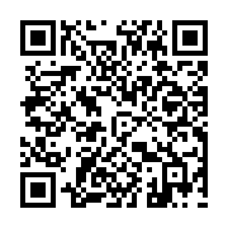 QR code for plate 993-GEB