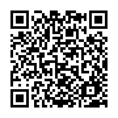 QR code for 993QZD