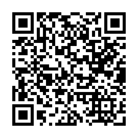 QR code for plate 993-RLF